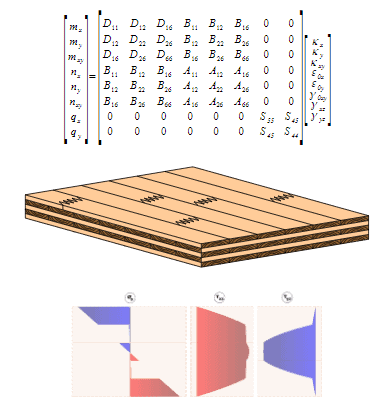CLT elements 