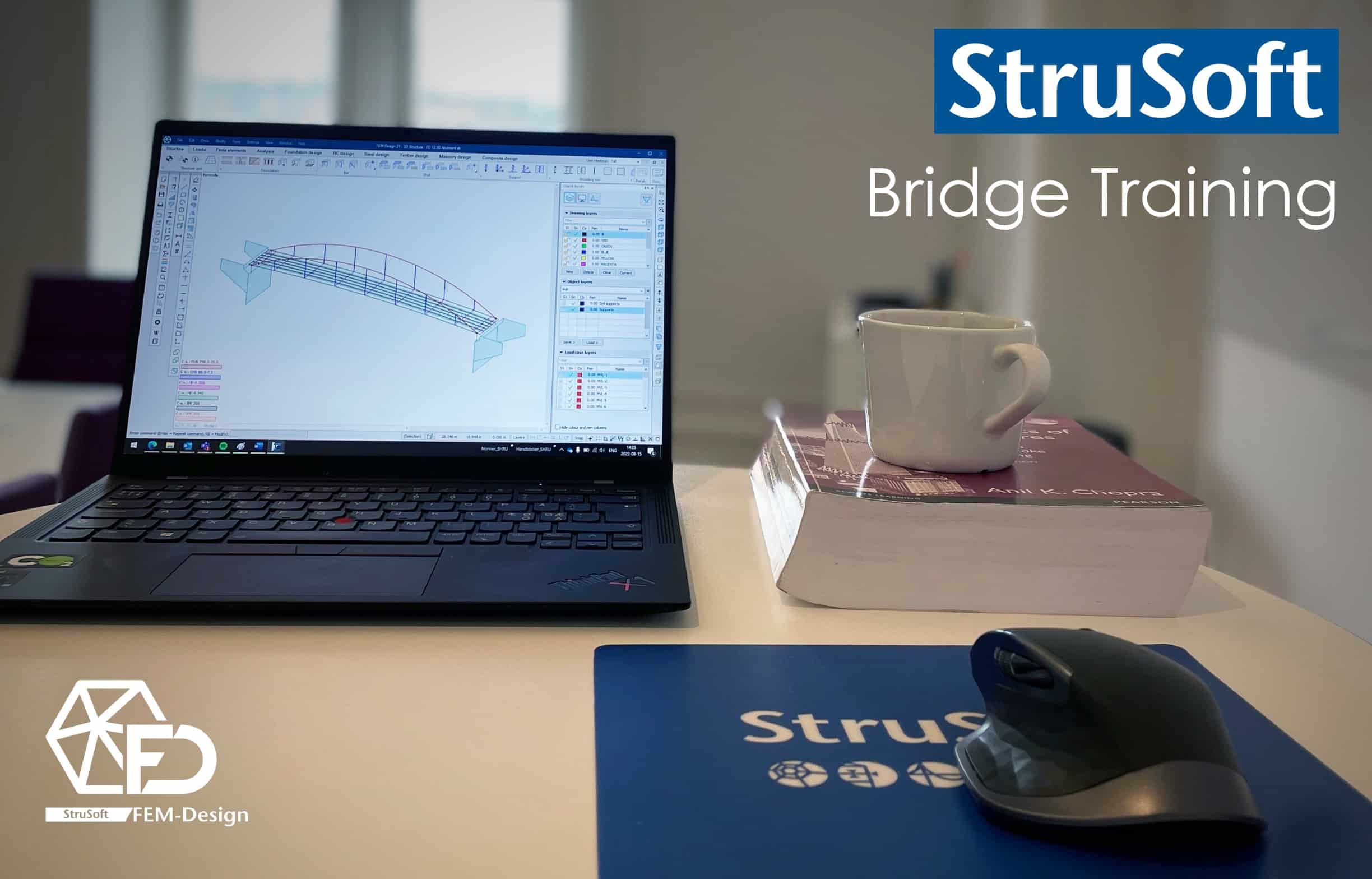 StruSoft Bridge training (GC-broar)